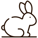 CRUELTY FREE